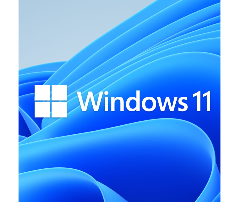 LICENCIA PERMANENTE WINDOWS 11 1DISP...
