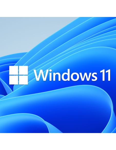 LICENCIA PERMANENTE WINDOWS 11 1DISP - NO REINSTALABLE