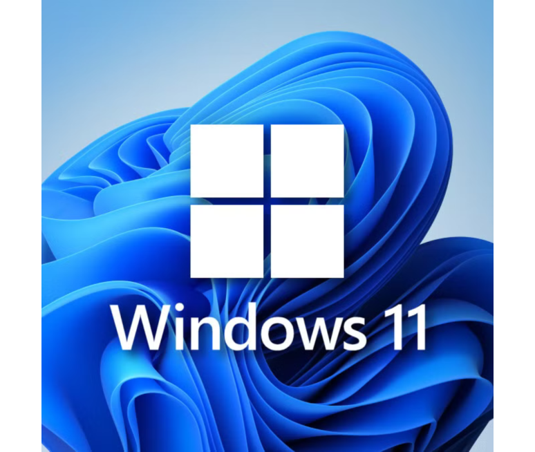 LICENCIA PERMANENTE WINDOWS 11 1DISP...
