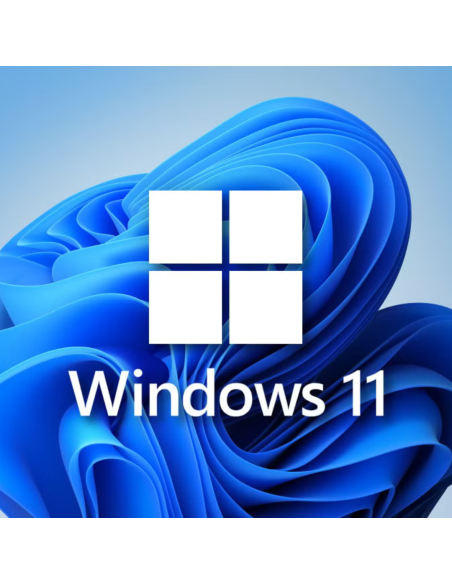 LICENCIA PERMANENTE WINDOWS 11 1DISP - NO REINSTALABLE