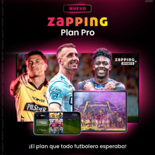 ZAPPING PLAN PRO (40...